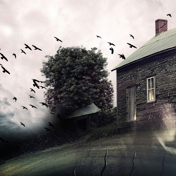 The House That Screamed