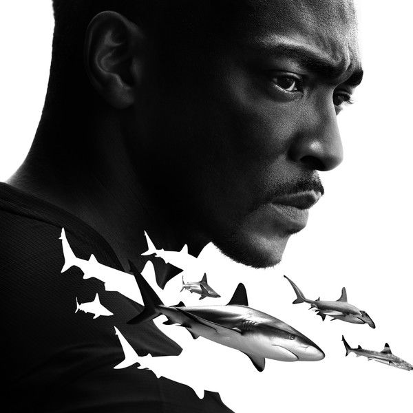 Shark Beach with Anthony Mackie