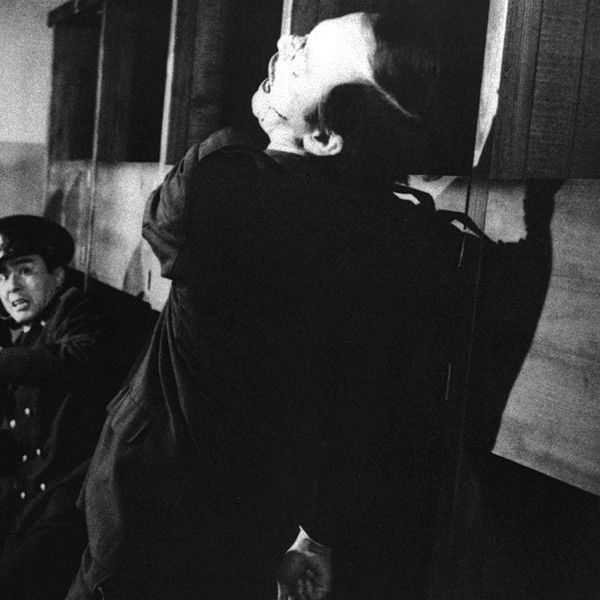 The Rapacious Jailbreaker