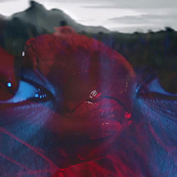 Between the Colony and the Stars