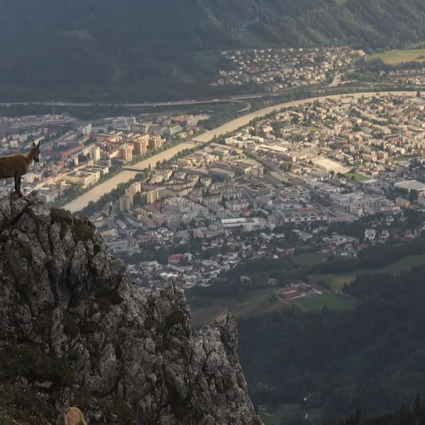 Wildes Innsbruck: Zwischen Moderne und alpiner Wildnis