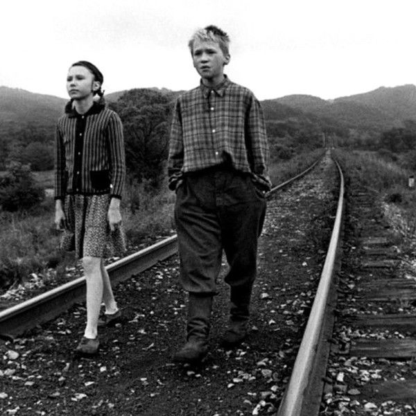 Freeze, Die, Come to Life