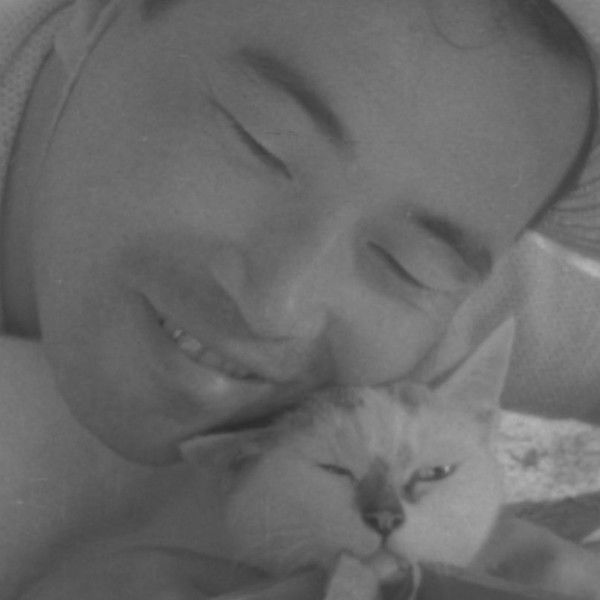 Shozo, a Cat and Two Women