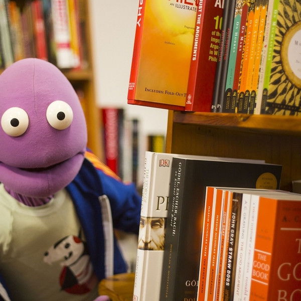 Randy Writes a Novel