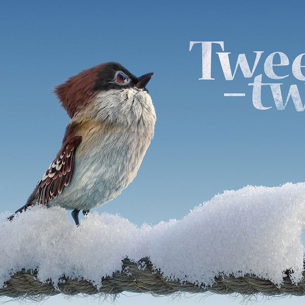 Tweet-Tweet
