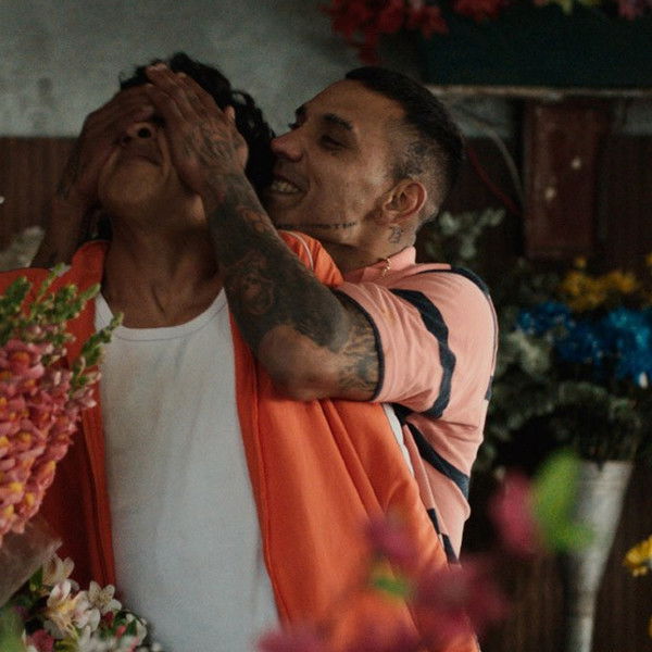 Stay Still or I'll Love You