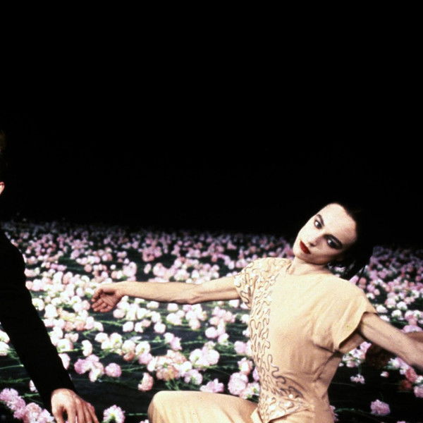 One Day Pina Asked...