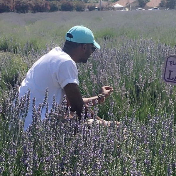 The Forfeiture Clause