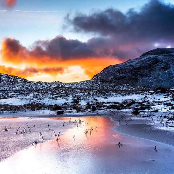 The Lake District: A Wild Year