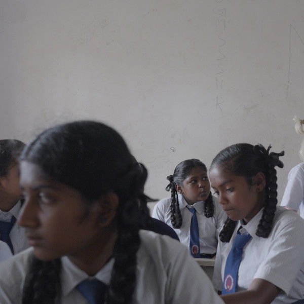 Bird of a Different Feather