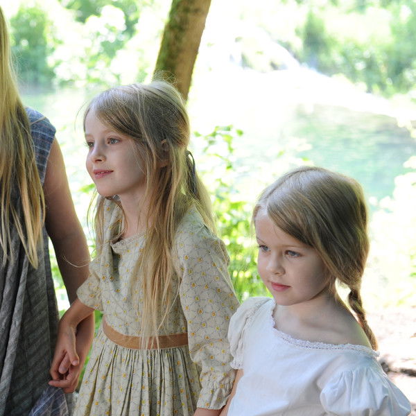 Der Teufel mit den drei goldenen Haaren