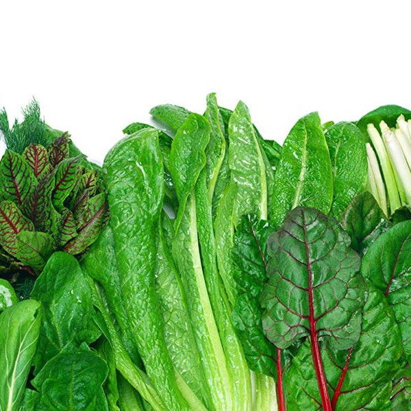 Foods That Cure Disease