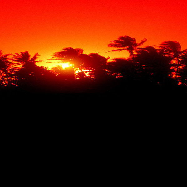 The Making of 'Jurassic Park'