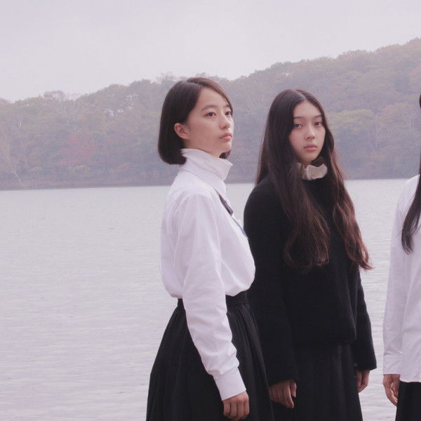 White Flowers and Fruits