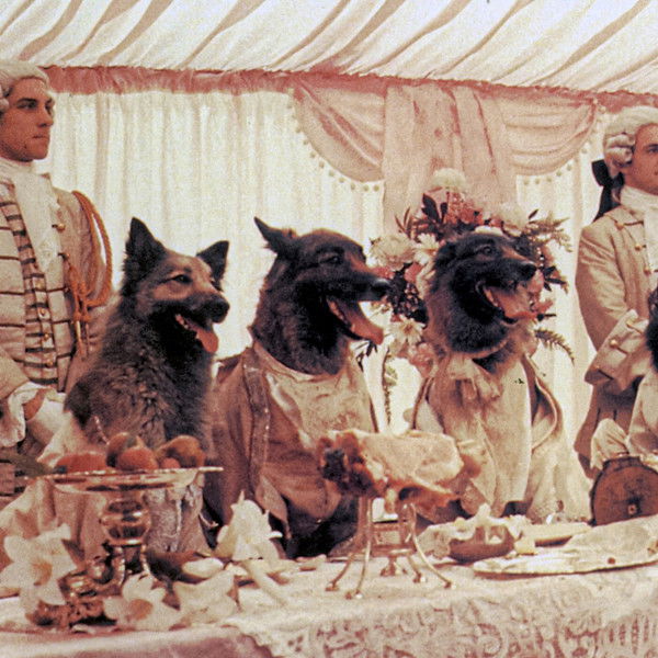 The Company of Wolves