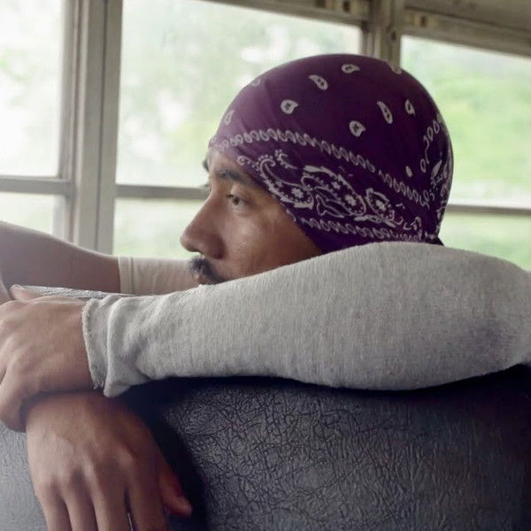 The Fields of Immokalee