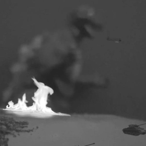 Godzilla: Chase for Change