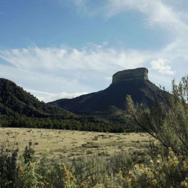 Once Upon a Time in Tombstone