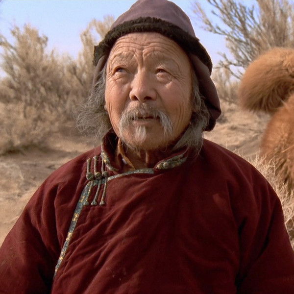 The Story of the Weeping Camel