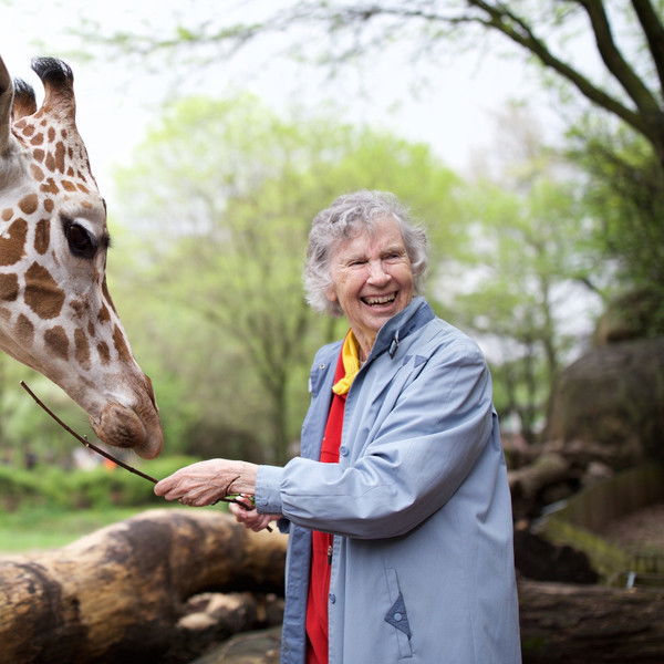 The Woman Who Loves Giraffes