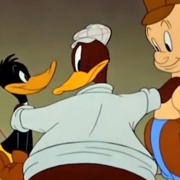 To Duck.... Or Not to Duck