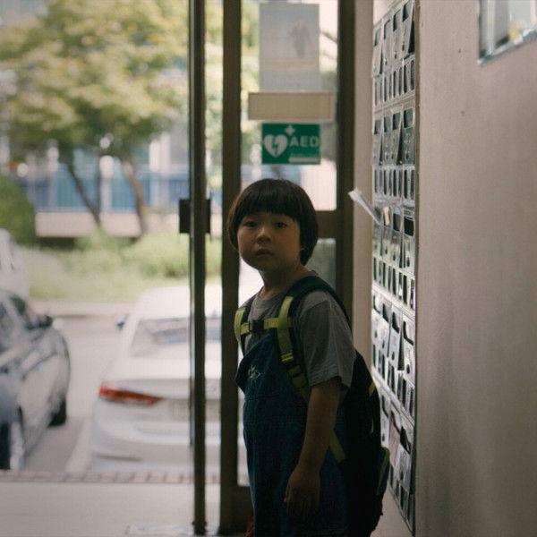 When Mushroom Blooms
