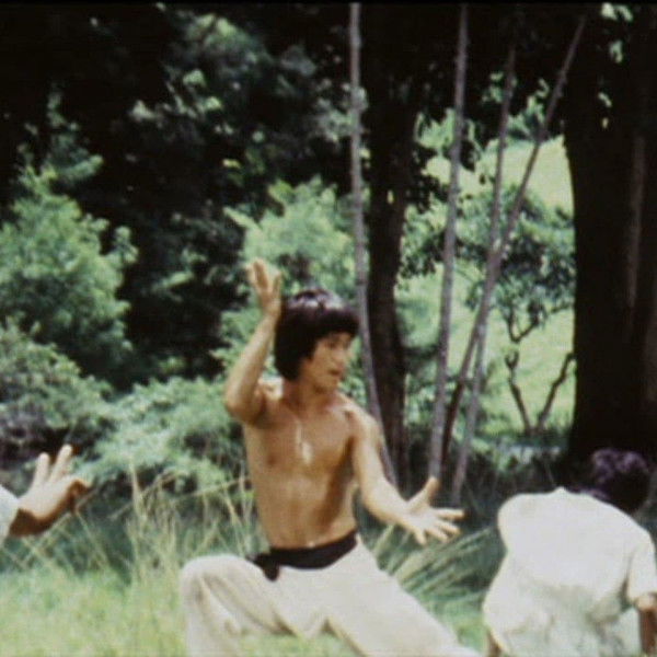 Bruce's Secret Kung Fu