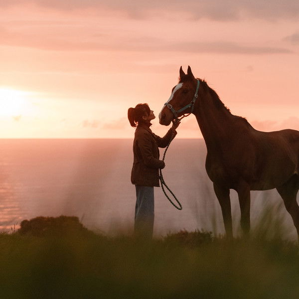 Rosamunde Pilcher: Jahrestag