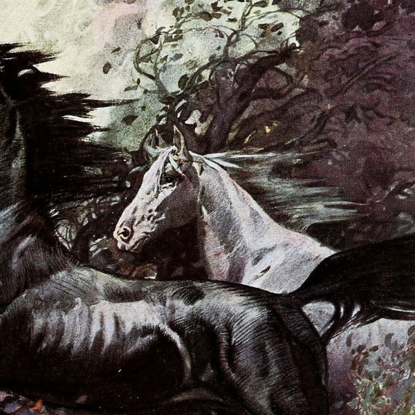 King of the Wild Horses