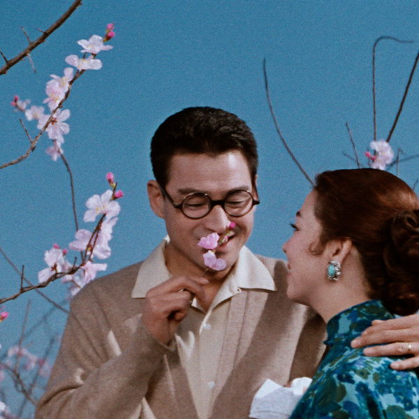 The Wandering Princess