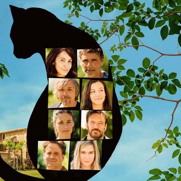 All Because of the Cat