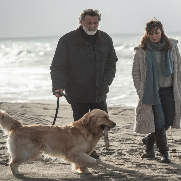 The Penitent - A Rational Man