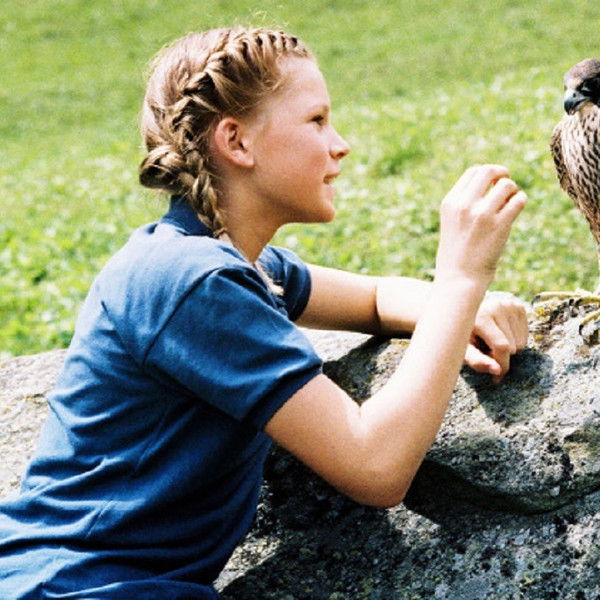 Der Sommer des Falken