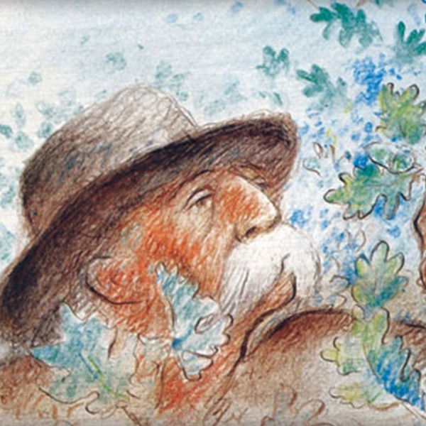 The Man Who Planted Trees