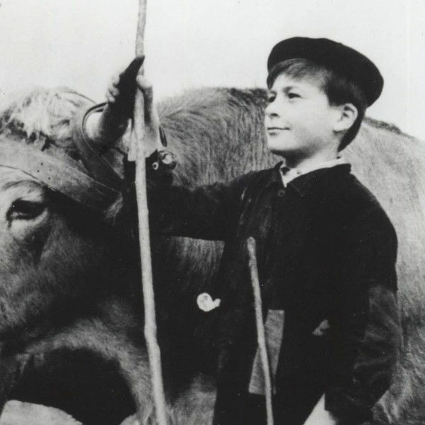 Farrebique, or the Four Seasons