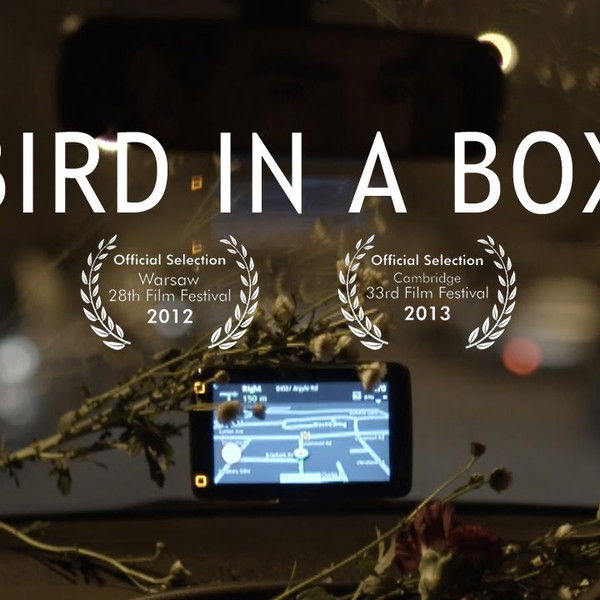 Bird in a Box