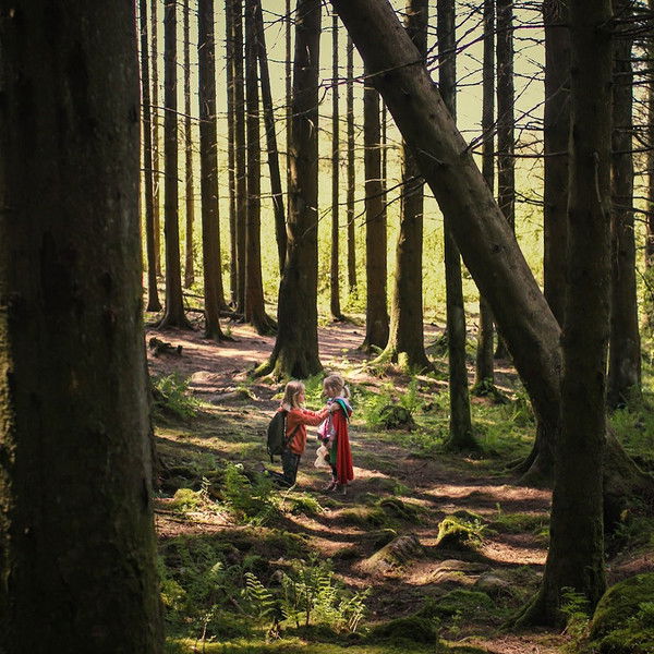 Sisters: The Summer We Found Our Superpowers