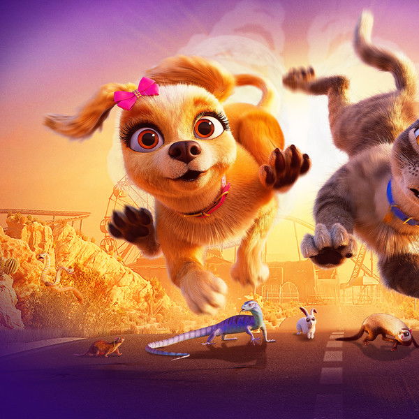 Gracie & Pedro: Pets to the Rescue