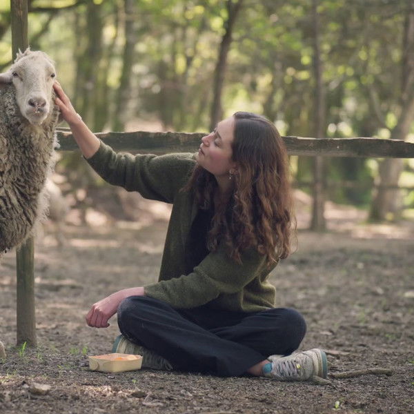 Carne: The Unsustainable Footprint