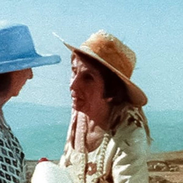 What swims and laughs?