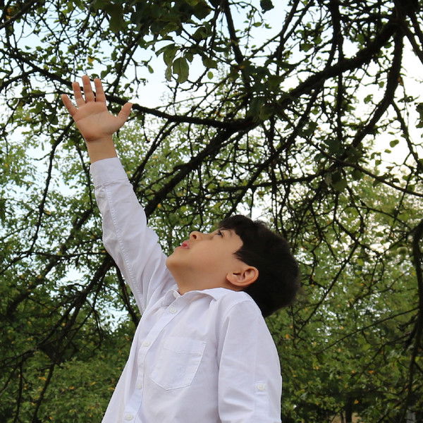 Shadows of Yugoslavia