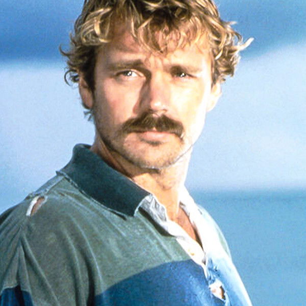 Desperate Journey: The Allison Wilcox Story