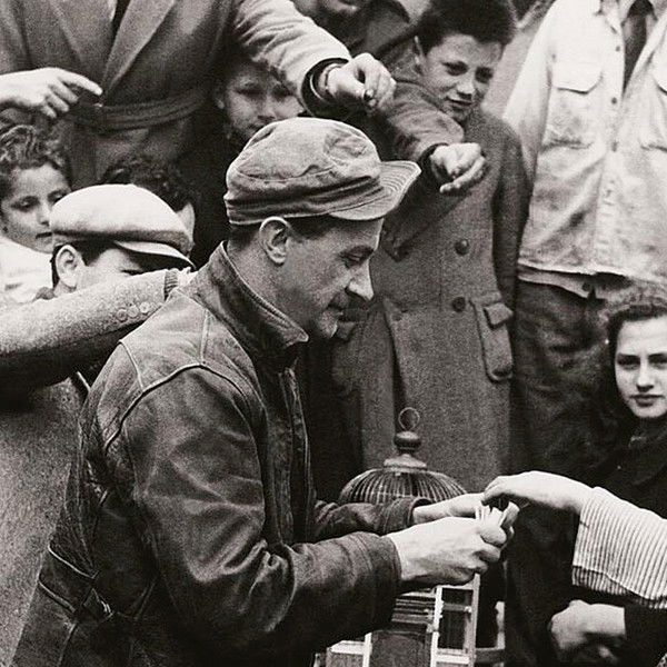 Of Fortune The Written