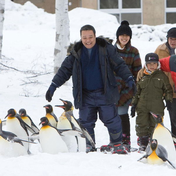 Asahiyama Zoo Story: Penguins in the Sky