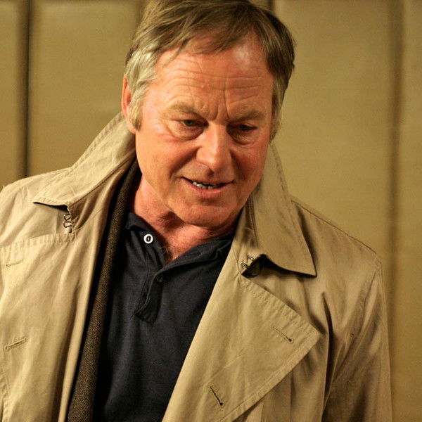 Varg Veum - At Night All Wolves Are Grey