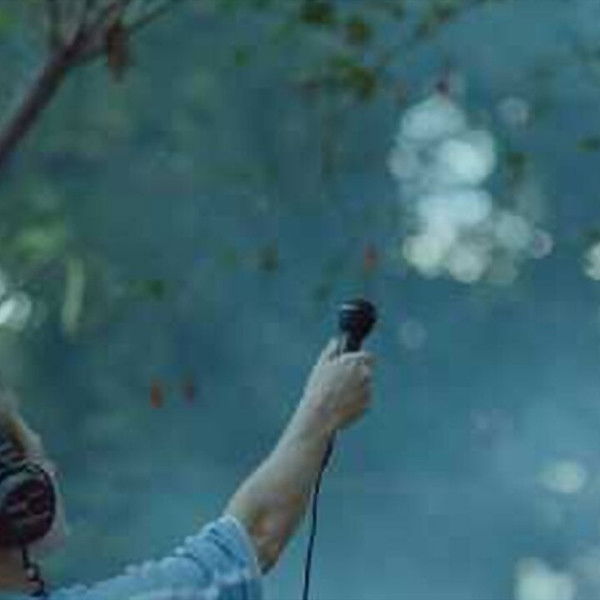 Hilda Hilst Pede Contato