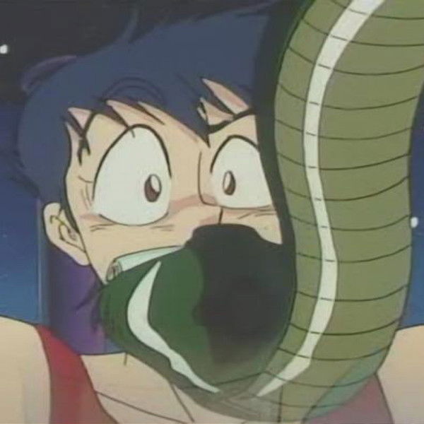 Kamasutra The Ultimate Sex Adventure