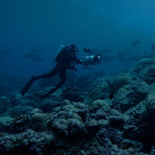 Night on Earth: Shot in the Dark