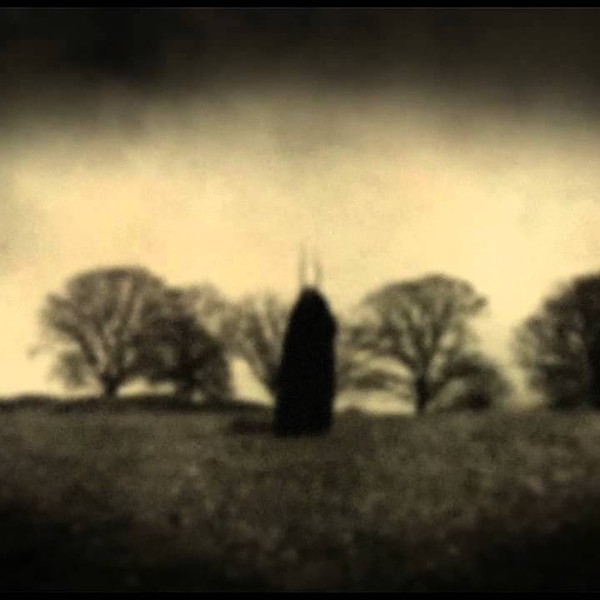 Steven Wilson: Grace for Drowning