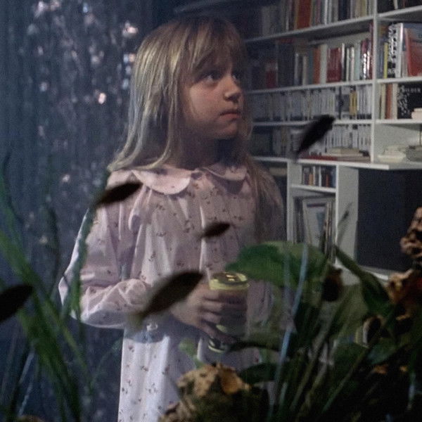 The Seventh Continent